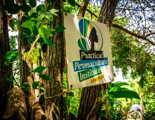 Practical Permaculture Institute Zanzibar <span>traditional building techniques combined with a ready to learn environment.</span>