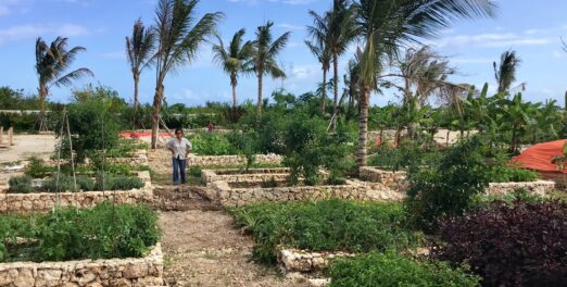 Kitchen Garden Design